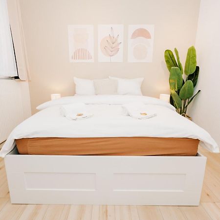 City-Apartment Kreuzviertel-Laedchen-60 Qm Munster  Eksteriør bilde