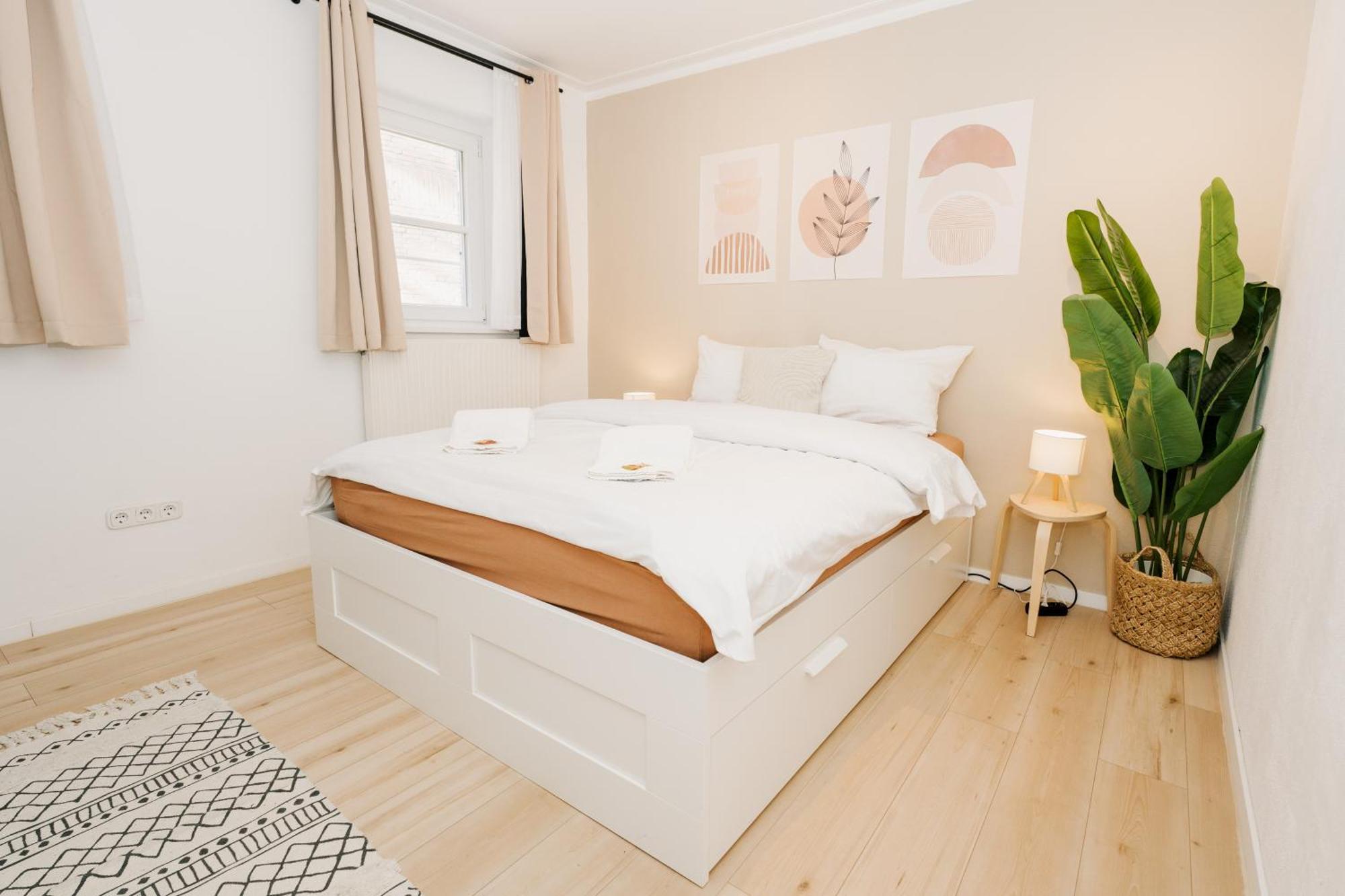 City-Apartment Kreuzviertel-Laedchen-60 Qm Munster  Eksteriør bilde